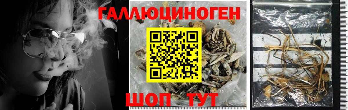 Галлюциногенные грибы мухоморы Амурск